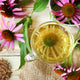 Echinacea Herb