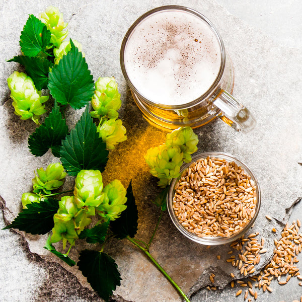 Hops Powder | JustIngredients